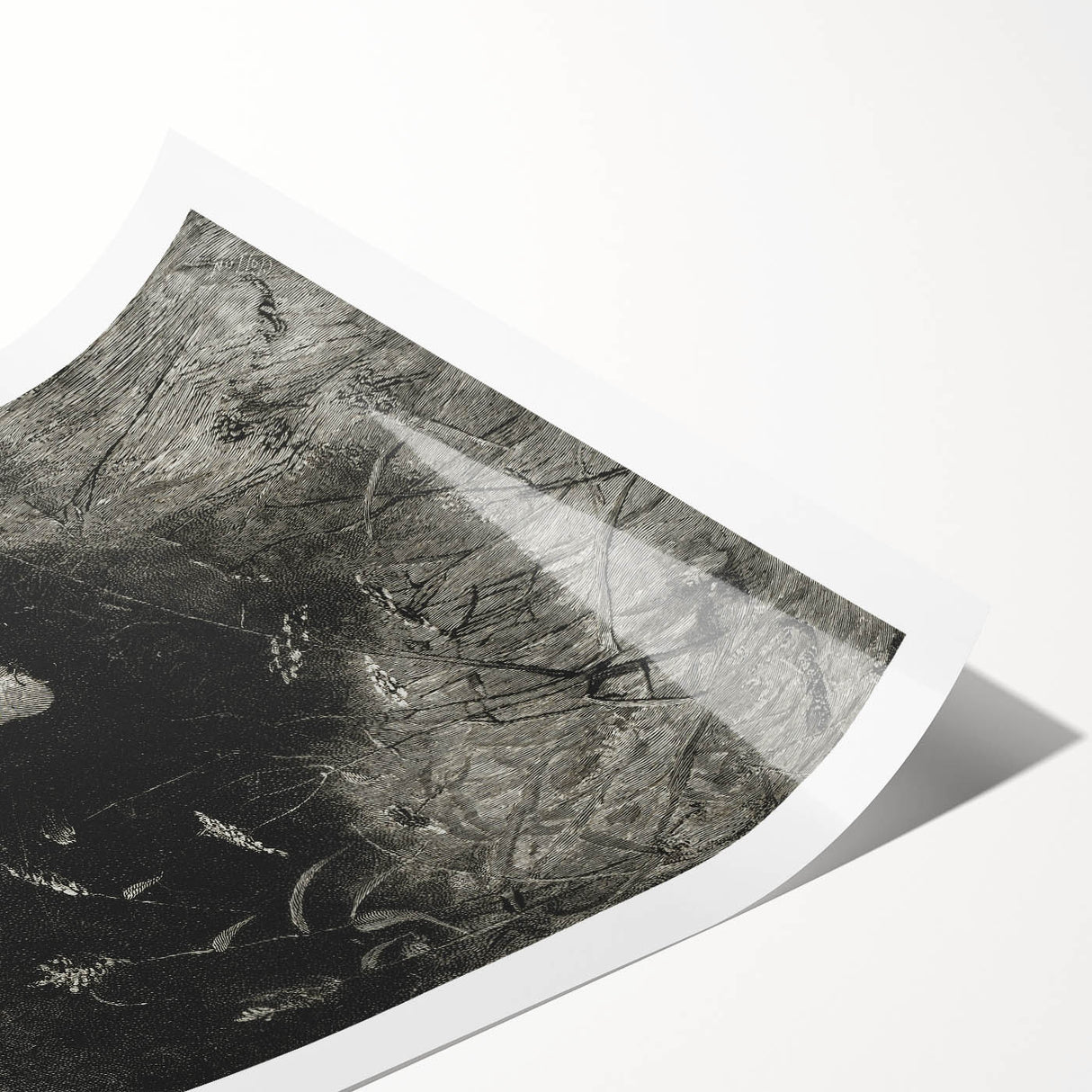 Grunge Aesthetic Art: Dark Butterfly Grunge Wall Art on Canvas