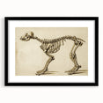 Grunge Aesthetic Art: Animal Skeleton Grunge Canvas Print for Urban Decor