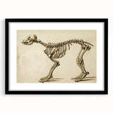 Grunge Aesthetic Art: Animal Skeleton Grunge Canvas Print for Urban Decor