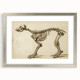 Grunge Aesthetic Art: Animal Skeleton Grunge Canvas Print for Urban Decor