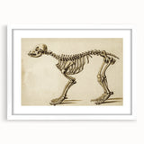Grunge Aesthetic Art: Animal Skeleton Grunge Canvas Print for Urban Decor