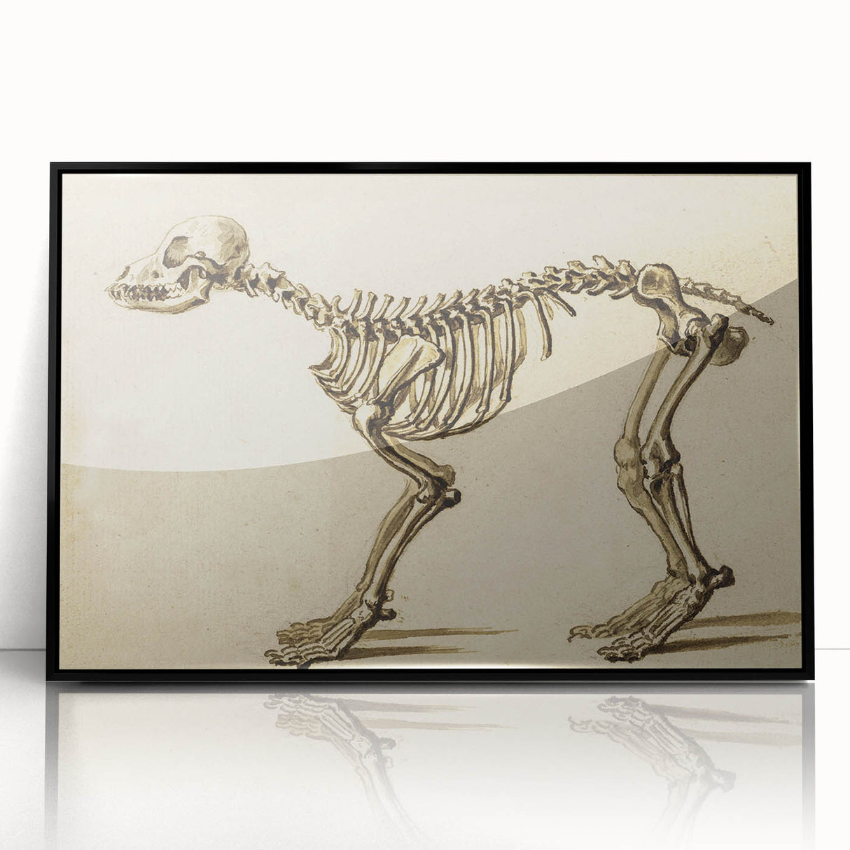 Grunge Aesthetic Art: Animal Skeleton Grunge Canvas Print for Urban Decor