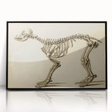 Grunge Aesthetic Art: Animal Skeleton Grunge Canvas Print for Urban Decor