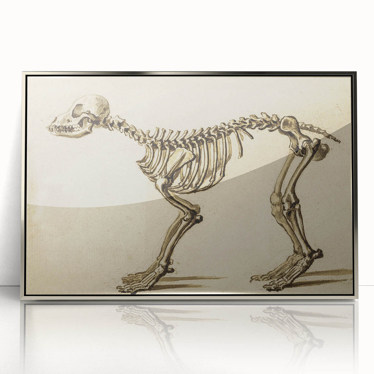 Grunge Aesthetic Art: Animal Skeleton Grunge Canvas Print for Urban Decor