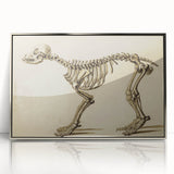 Grunge Aesthetic Art: Animal Skeleton Grunge Canvas Print for Urban Decor