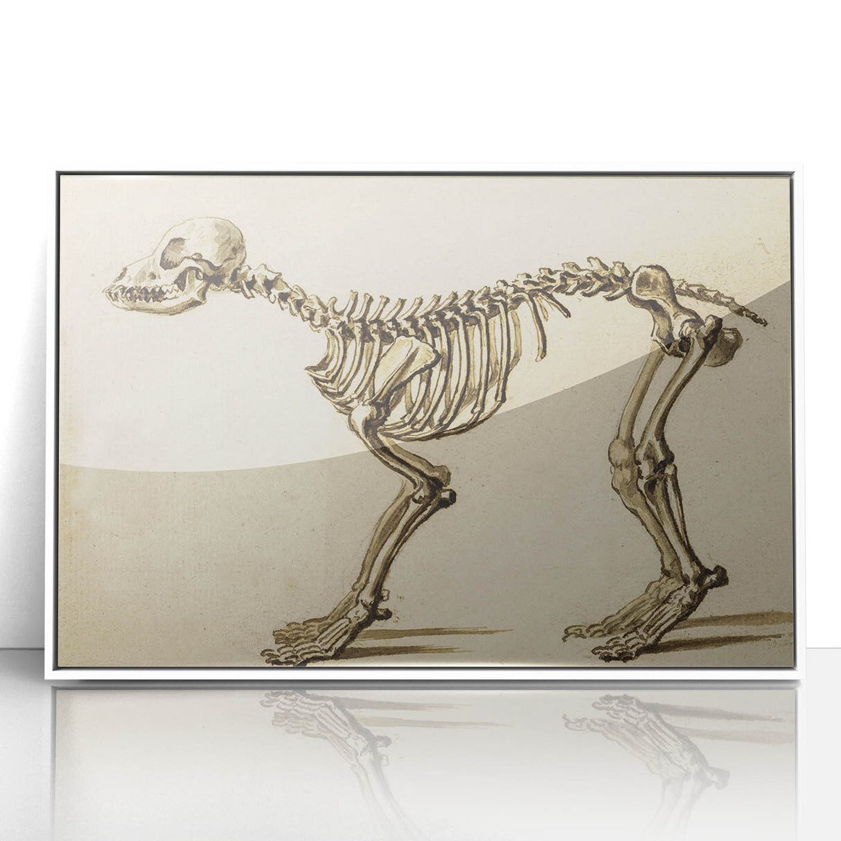 Grunge Aesthetic Art: Animal Skeleton Grunge Canvas Print for Urban Decor