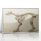 Grunge Aesthetic Art: Animal Skeleton Grunge Canvas Print for Urban Decor
