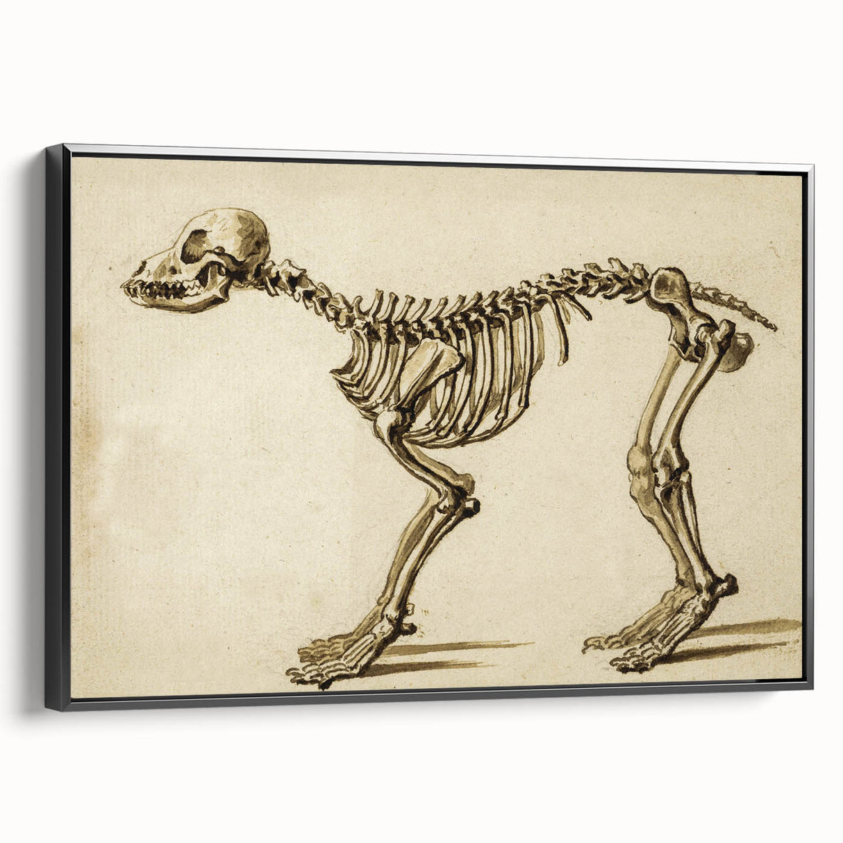Grunge Aesthetic Art: Animal Skeleton Grunge Canvas Print for Urban Decor