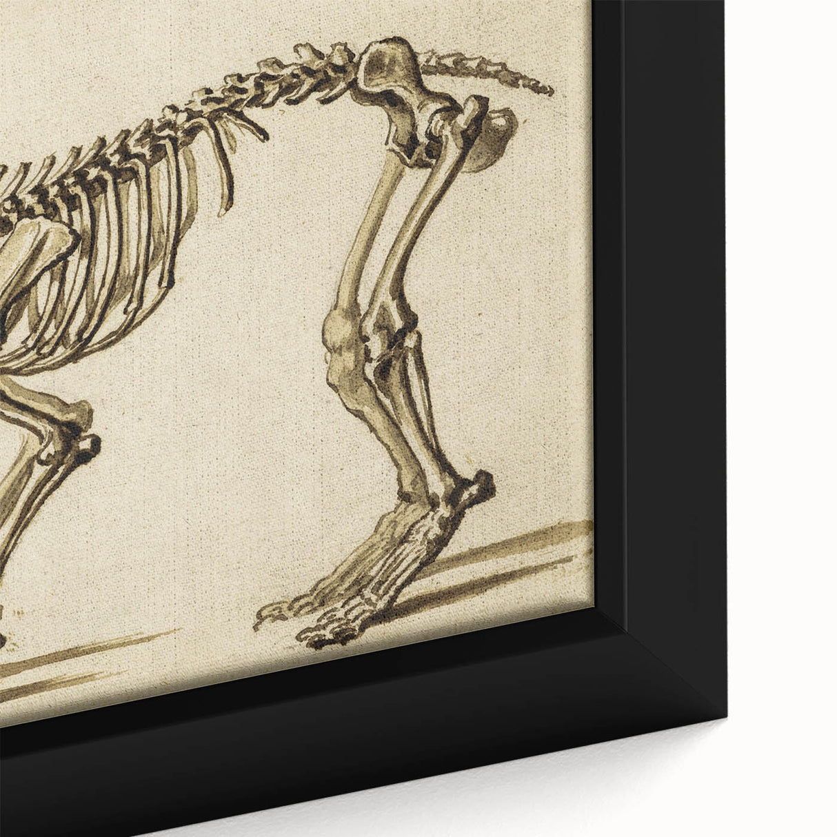 Grunge Aesthetic Art: Animal Skeleton Grunge Canvas Print for Urban Decor