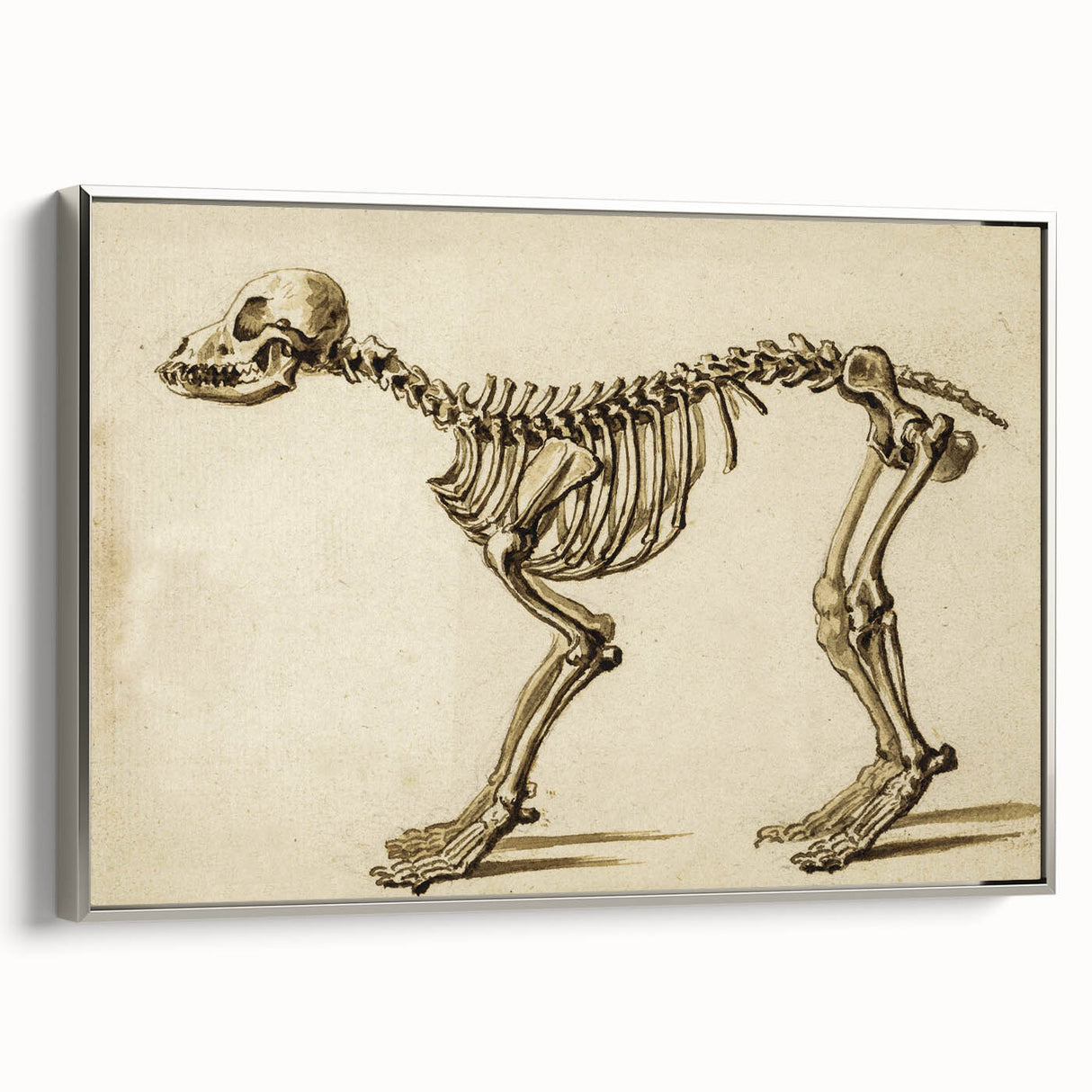 Grunge Aesthetic Art: Animal Skeleton Grunge Canvas Print for Urban Decor