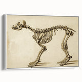 Grunge Aesthetic Art: Animal Skeleton Grunge Canvas Print for Urban Decor