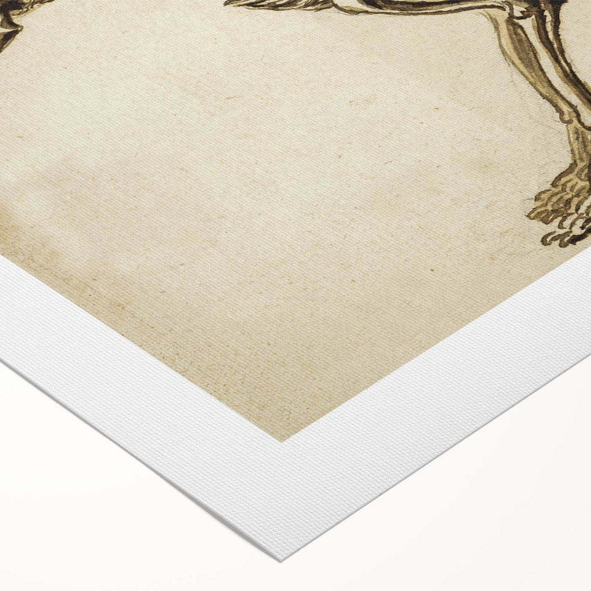 Grunge Aesthetic Art: Animal Skeleton Grunge Canvas Print for Urban Decor