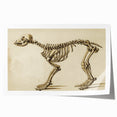 Grunge Aesthetic Art: Animal Skeleton Grunge Canvas Print for Urban Decor
