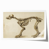 Grunge Aesthetic Art: Animal Skeleton Grunge Canvas Print for Urban Decor