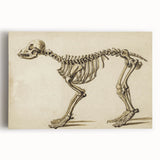 Grunge Aesthetic Art: Animal Skeleton Grunge Canvas Print for Urban Decor