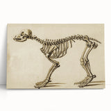 Grunge Aesthetic Art: Animal Skeleton Grunge Canvas Print for Urban Decor