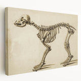 Grunge Aesthetic Art: Animal Skeleton Grunge Canvas Print for Urban Decor