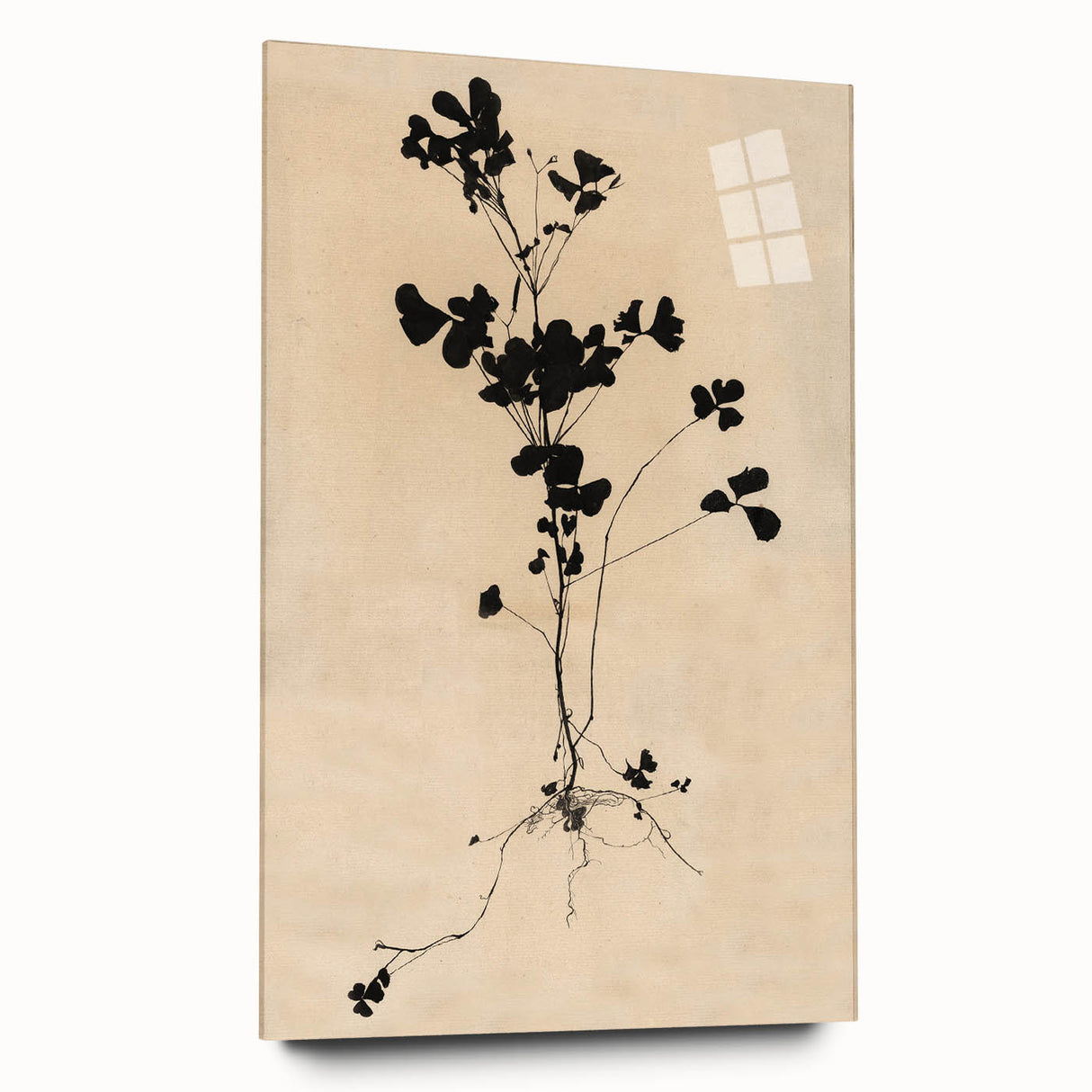 Abstract Grunge Wall Art - Vintage Plant Silhouette Grunge Canvas Print