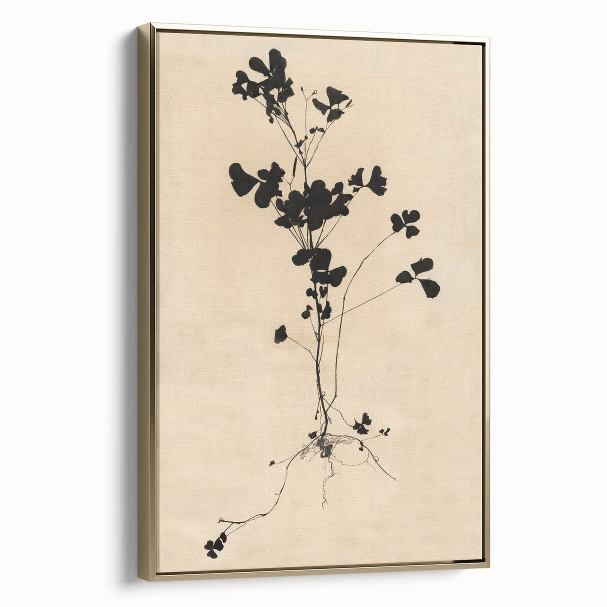 Abstract Grunge Wall Art - Vintage Plant Silhouette Grunge Canvas Print