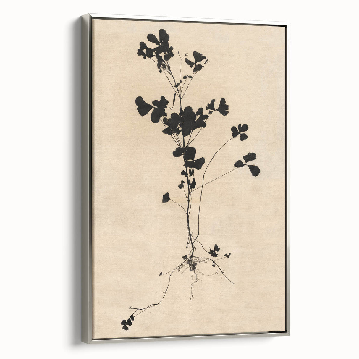 Abstract Grunge Wall Art - Vintage Plant Silhouette Grunge Canvas Print