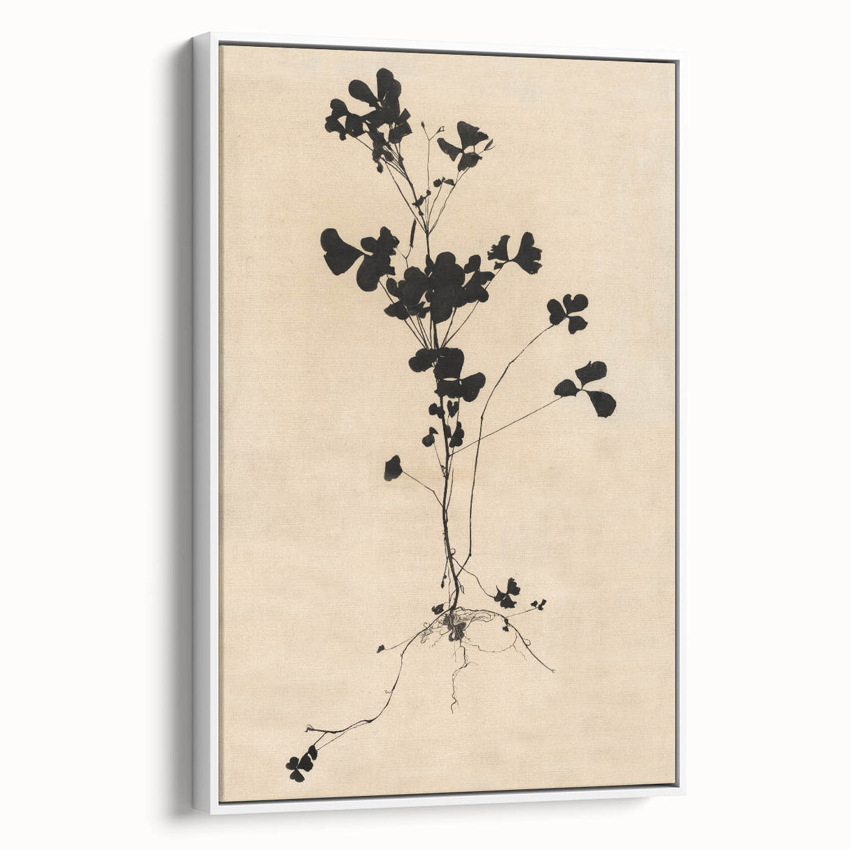 Abstract Grunge Wall Art - Vintage Plant Silhouette Grunge Canvas Print