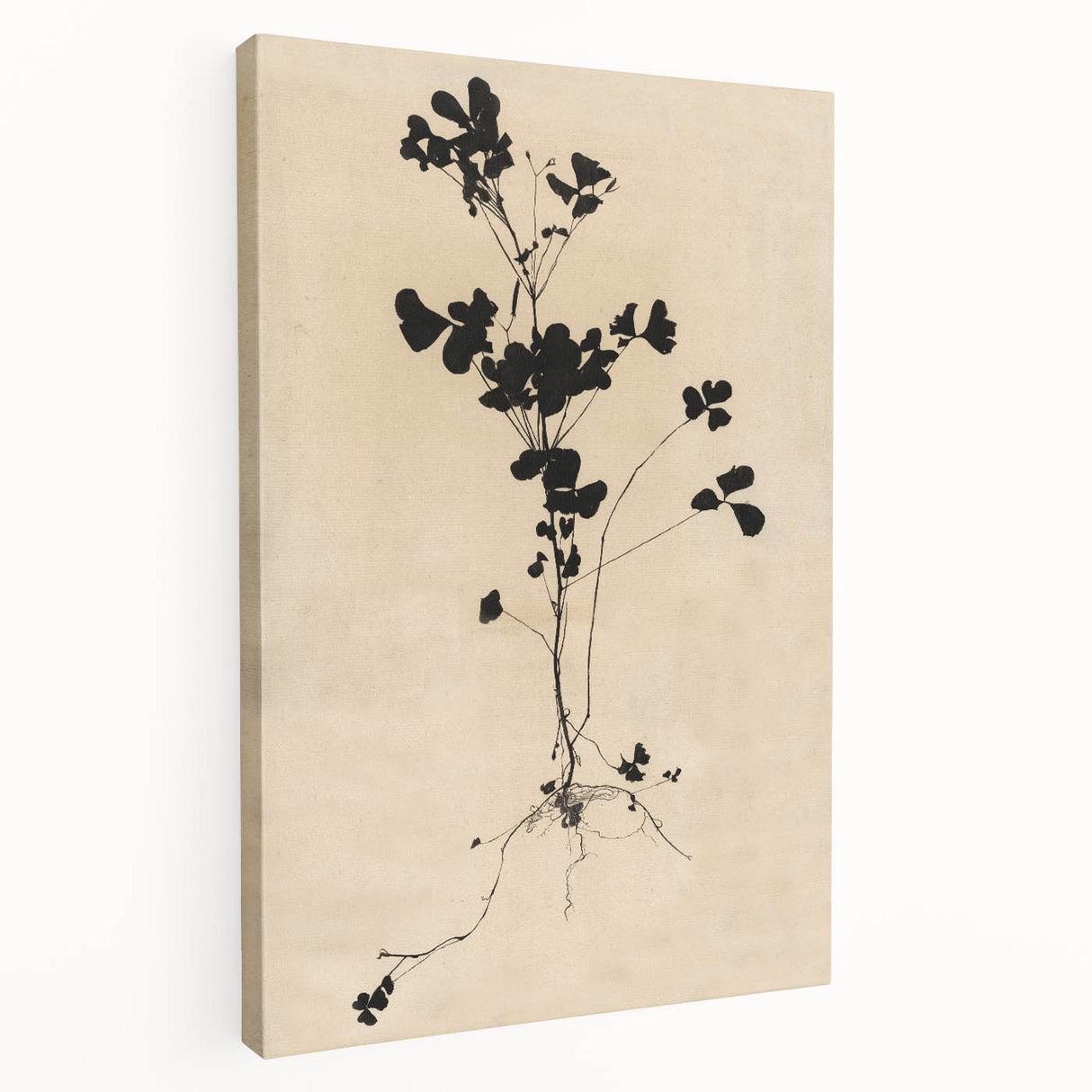 Abstract Grunge Wall Art - Vintage Plant Silhouette Grunge Canvas Print