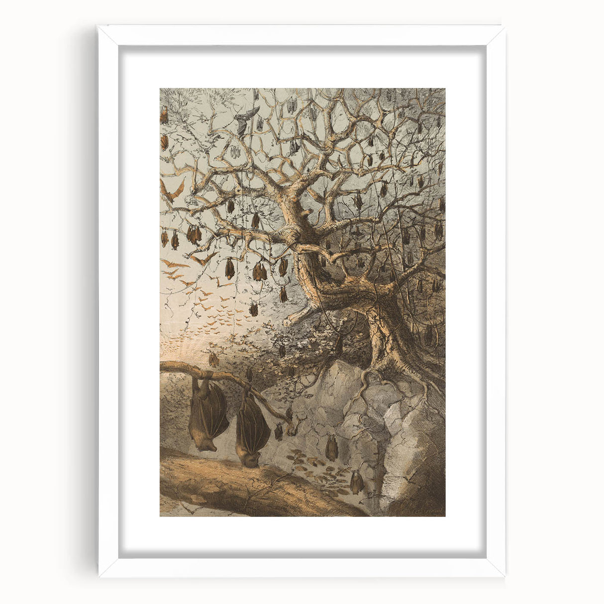 Grunge Wall Art - Vintage Bat Tree Illustration Grunge Canvas Print