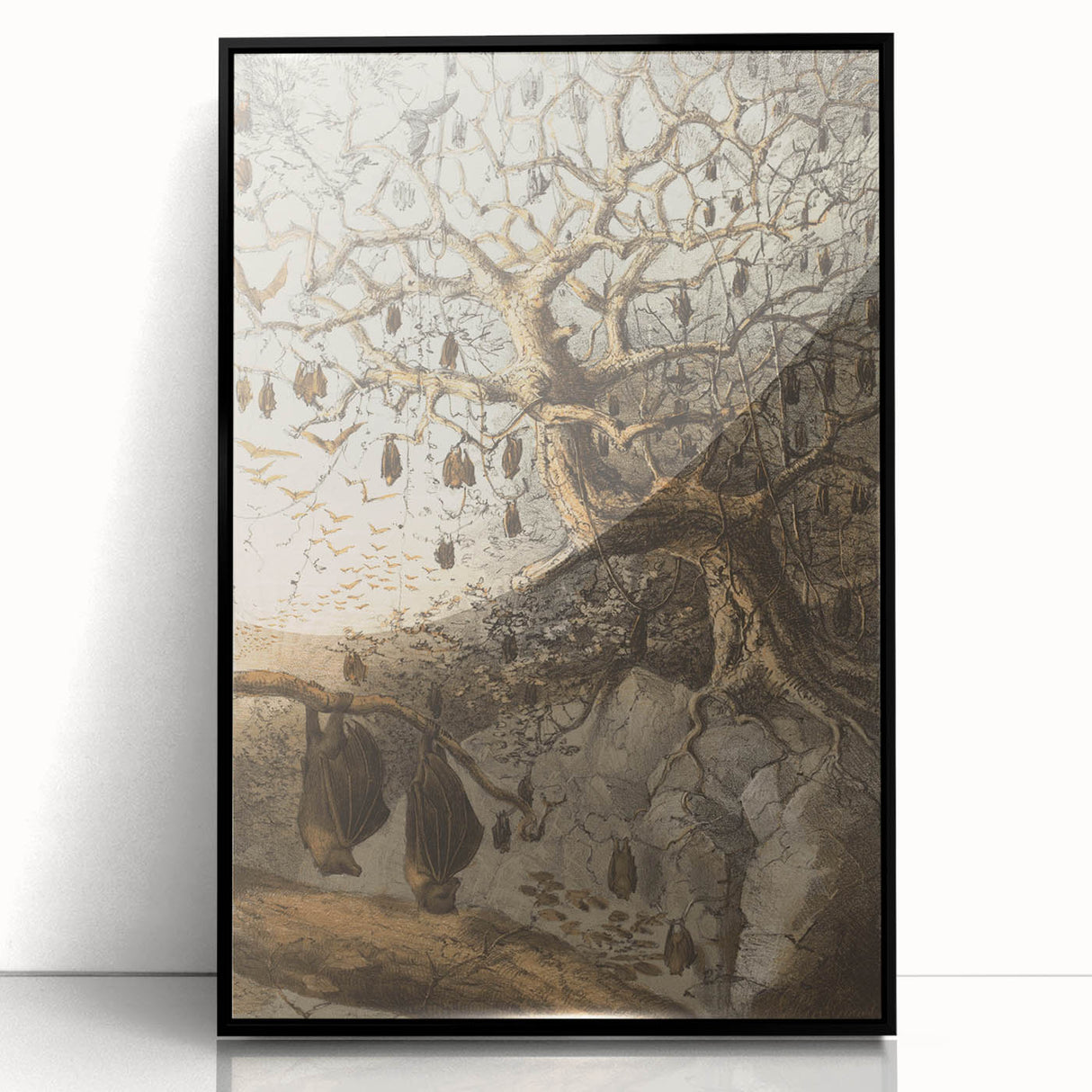 Grunge Wall Art - Vintage Bat Tree Illustration Grunge Canvas Print