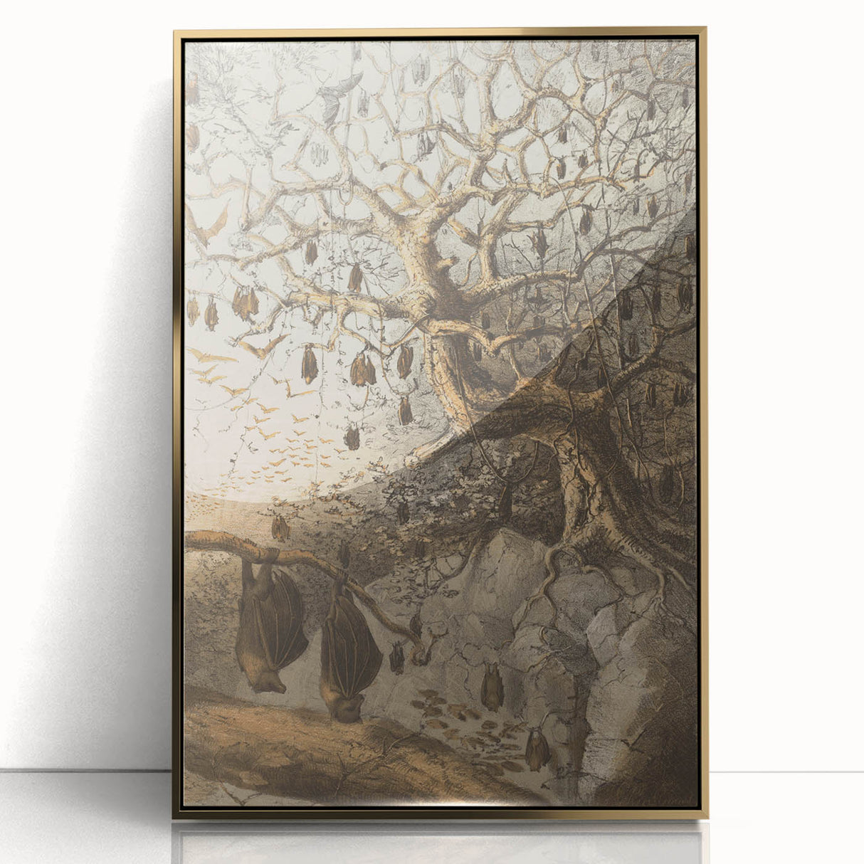 Grunge Wall Art - Vintage Bat Tree Illustration Grunge Canvas Print