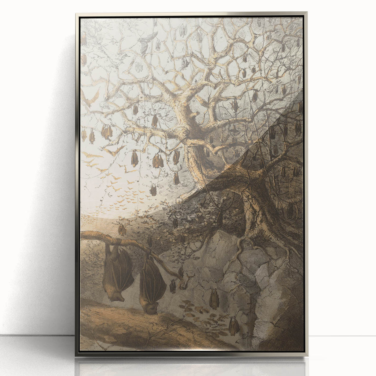 Grunge Wall Art - Vintage Bat Tree Illustration Grunge Canvas Print