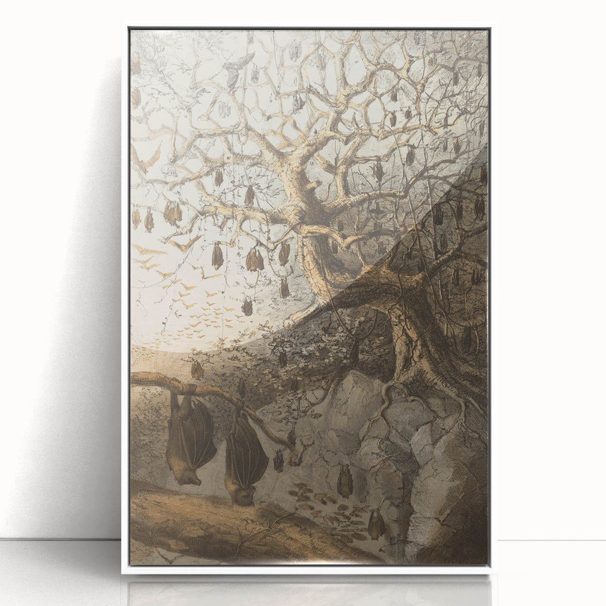 Grunge Wall Art - Vintage Bat Tree Illustration Grunge Canvas Print