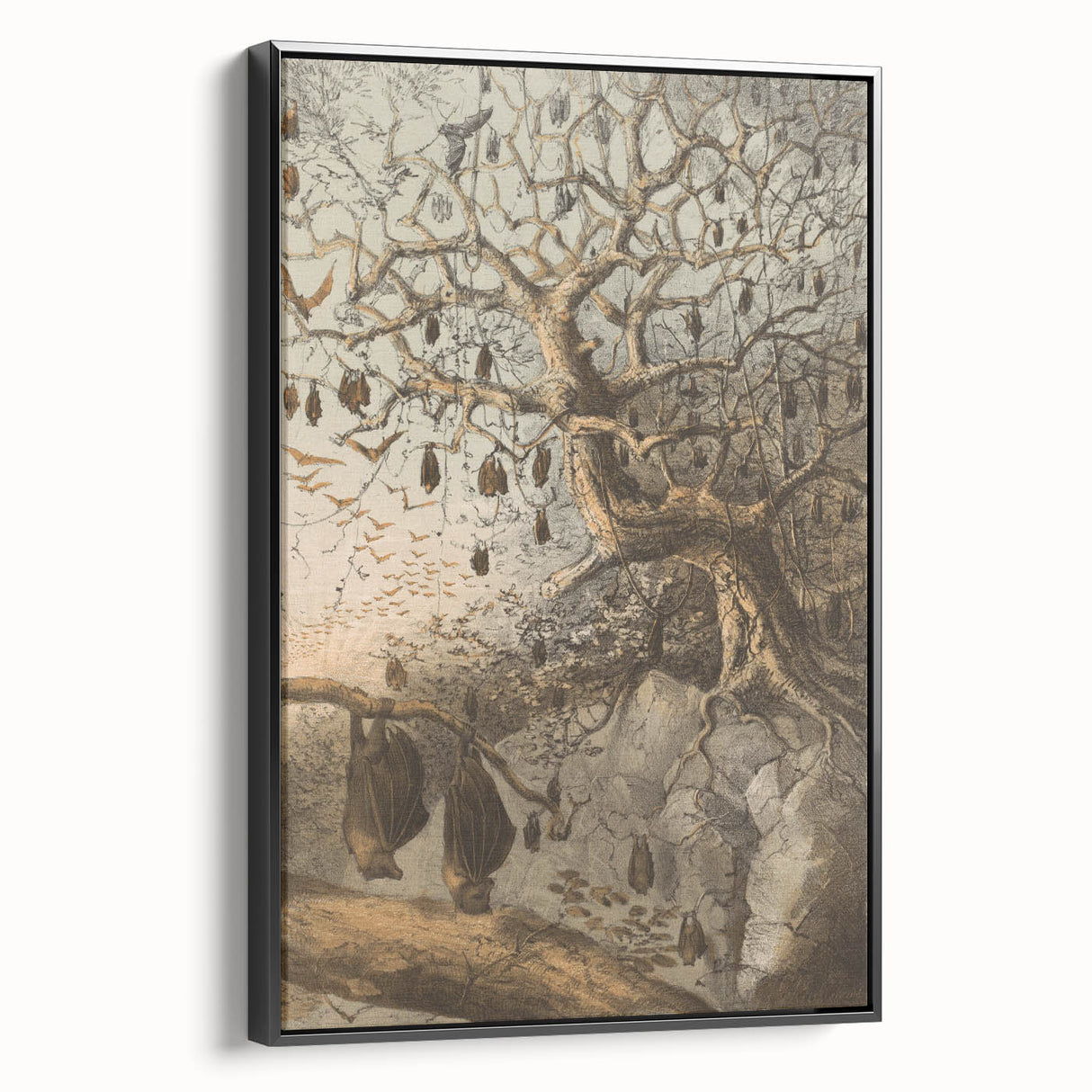 Grunge Wall Art - Vintage Bat Tree Illustration Grunge Canvas Print
