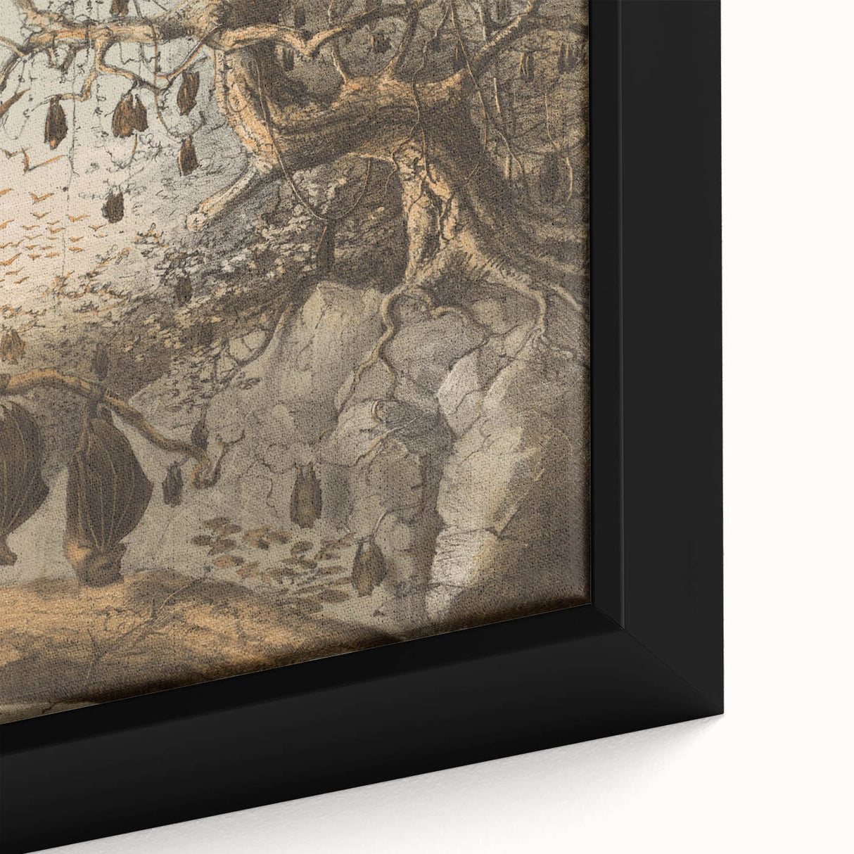 Grunge Wall Art - Vintage Bat Tree Illustration Grunge Canvas Print