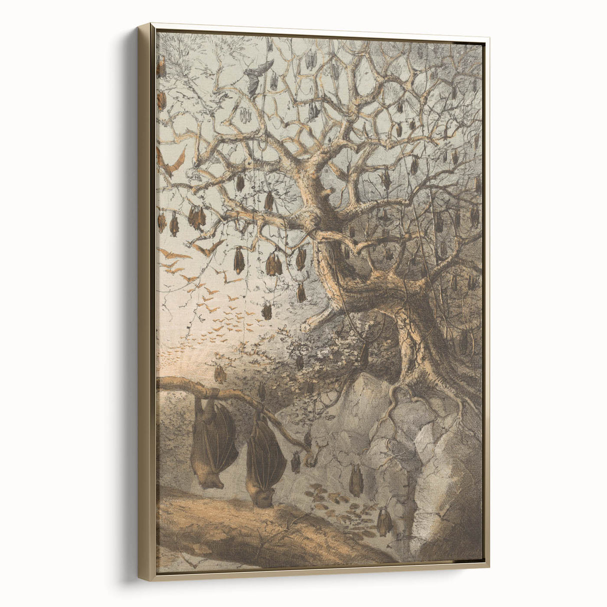 Grunge Wall Art - Vintage Bat Tree Illustration Grunge Canvas Print
