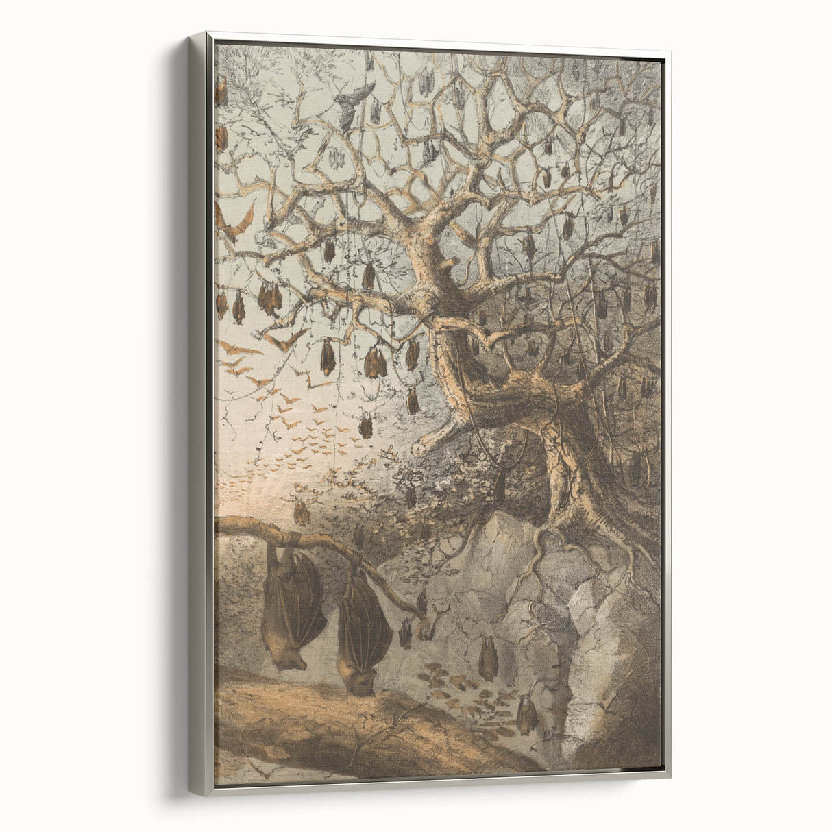 Grunge Wall Art - Vintage Bat Tree Illustration Grunge Canvas Print