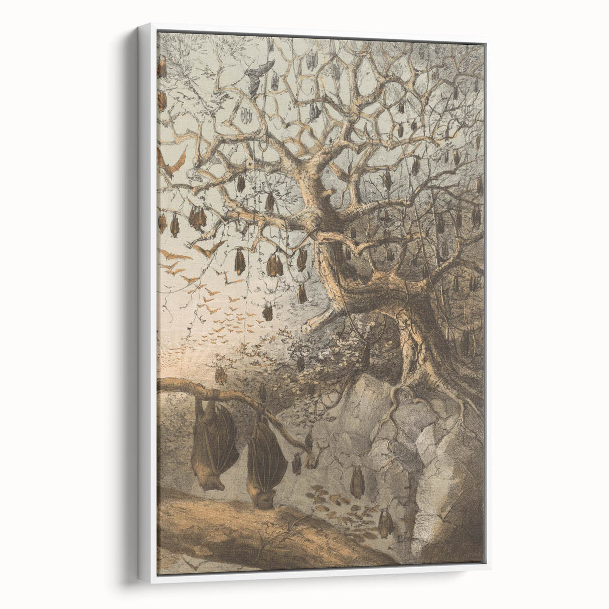 Grunge Wall Art - Vintage Bat Tree Illustration Grunge Canvas Print