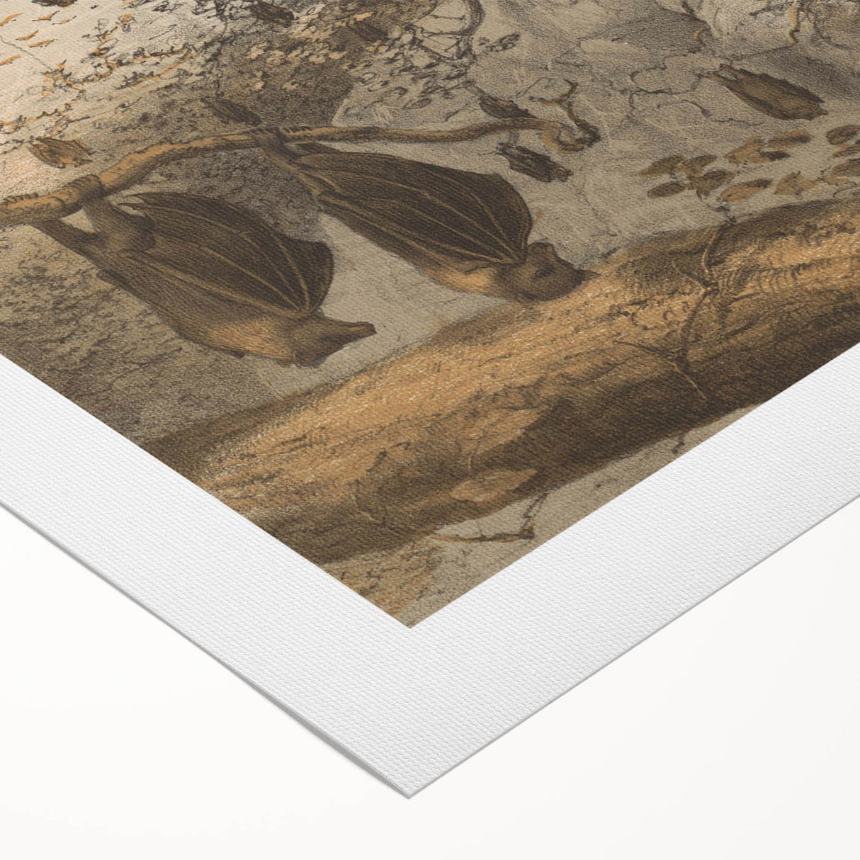 Grunge Wall Art - Vintage Bat Tree Illustration Grunge Canvas Print
