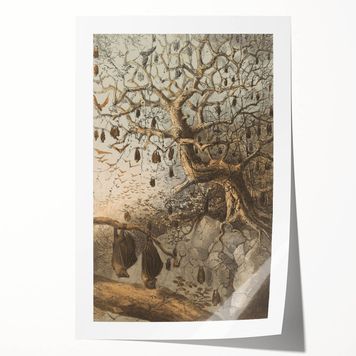 Grunge Wall Art - Vintage Bat Tree Illustration Grunge Canvas Print