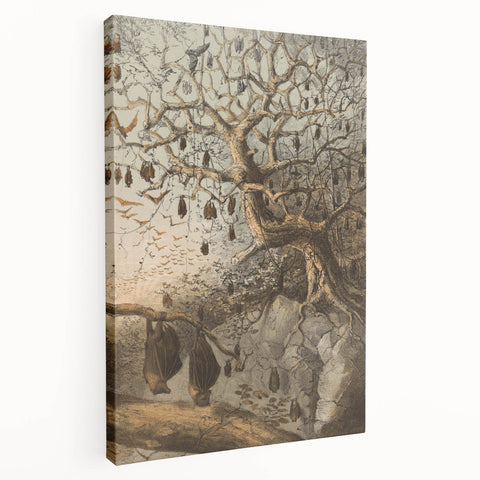 Grunge Wall Art - Vintage Bat Tree Illustration Grunge Canvas Print