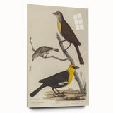 Grunge Aesthetic Art: Vintage Bird Illustration Grunge Canvas Print