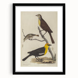 Grunge Aesthetic Art: Vintage Bird Illustration Grunge Canvas Print