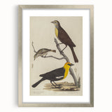 Grunge Aesthetic Art: Vintage Bird Illustration Grunge Canvas Print