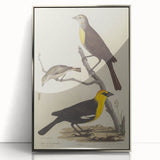 Grunge Aesthetic Art: Vintage Bird Illustration Grunge Canvas Print