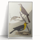 Grunge Aesthetic Art: Vintage Bird Illustration Grunge Canvas Print