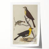 Grunge Aesthetic Art: Vintage Bird Illustration Grunge Canvas Print