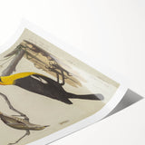 Grunge Aesthetic Art: Vintage Bird Illustration Grunge Canvas Print