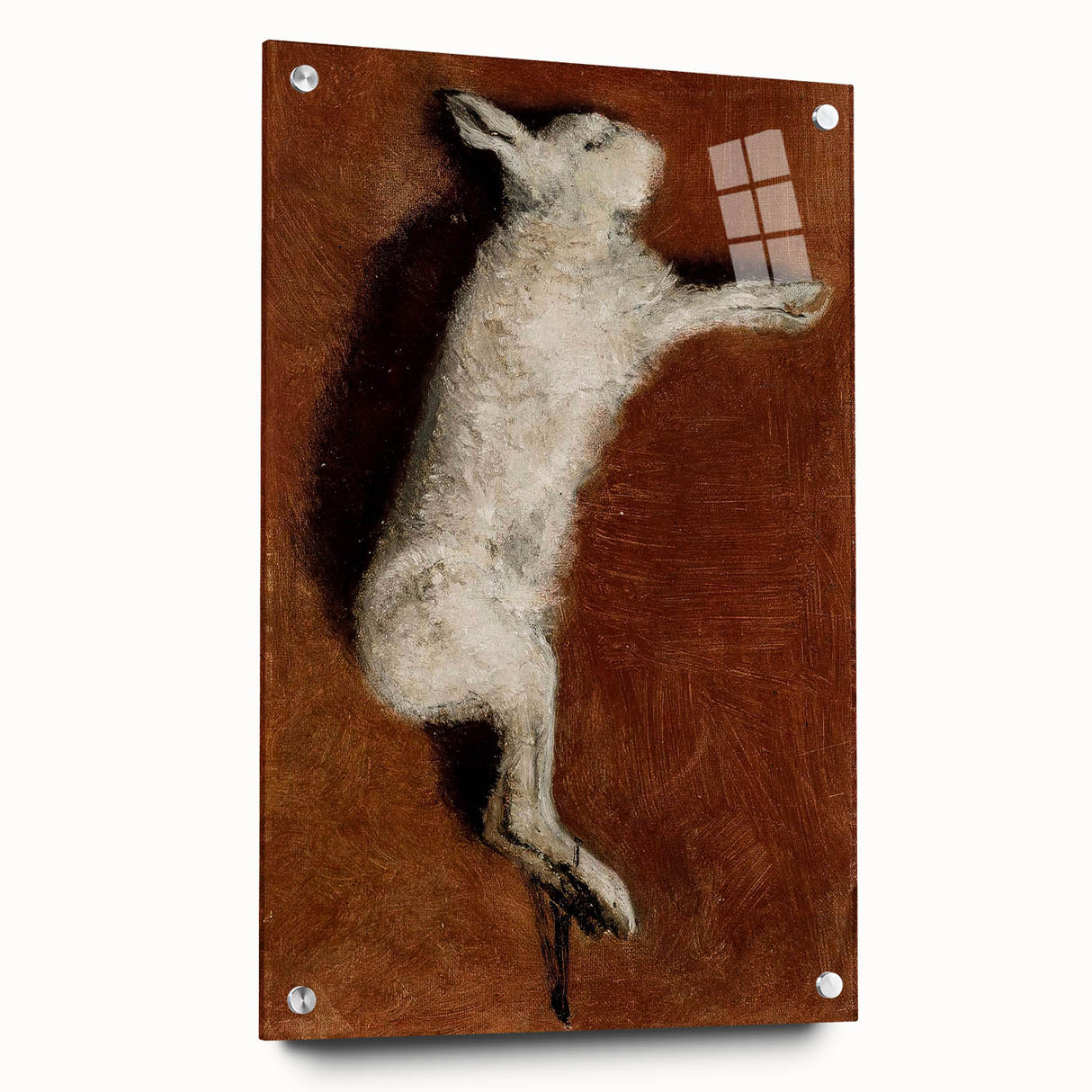 Grunge Wall Art - Vintage White Rabbit Illustration Grunge Canvas Print
