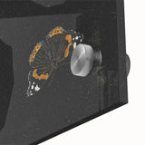 Urban Grunge Art - Butterfly Canvas Print for Modern Wall Decor