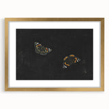 Urban Grunge Art - Butterfly Canvas Print for Modern Wall Decor