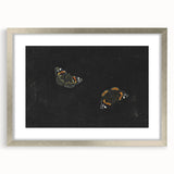 Urban Grunge Art - Butterfly Canvas Print for Modern Wall Decor